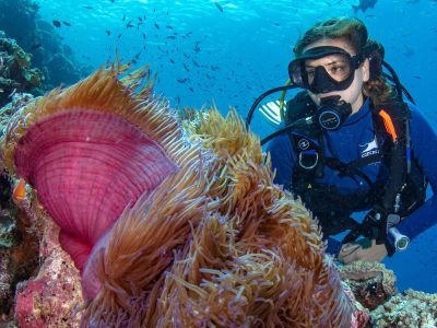 Eye on the Reef Photo Point Project